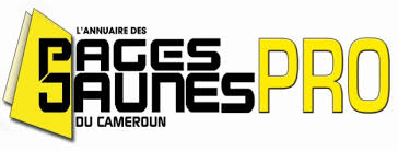 LOGO PAGES JAUNES PRO DU CAMEROUN