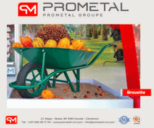 promotion prometal brouettes