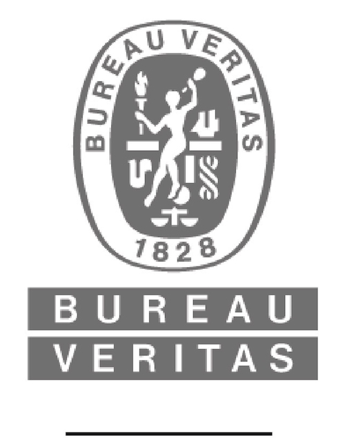 LOGO VERITAS